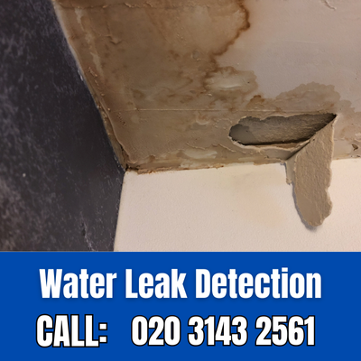 Expert Water Leak Detection Services in Richmond | Richmond Leak Detection